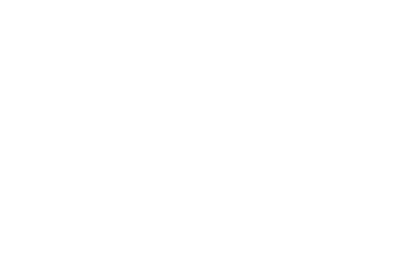 R4 - Logo negativo RGB